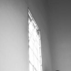 Foto de Túlio Toledo