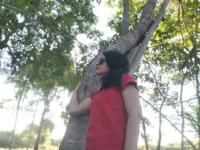 Divino Companheiro
