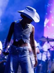 Bonde das Boiadeiras