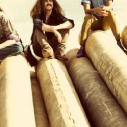 Foto de Absinto Muito