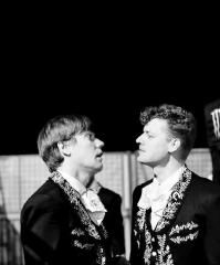 The Hives