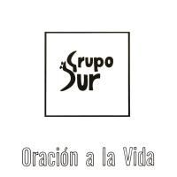 Grupo Sur
