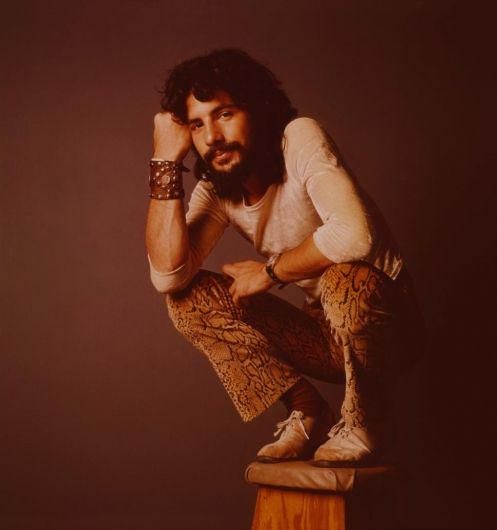 Cat Stevens