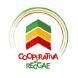 Cooperativa do Reggae