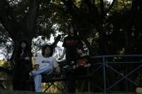 Tempo Farol