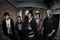 Snowblind