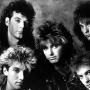 Honeymoon Suite