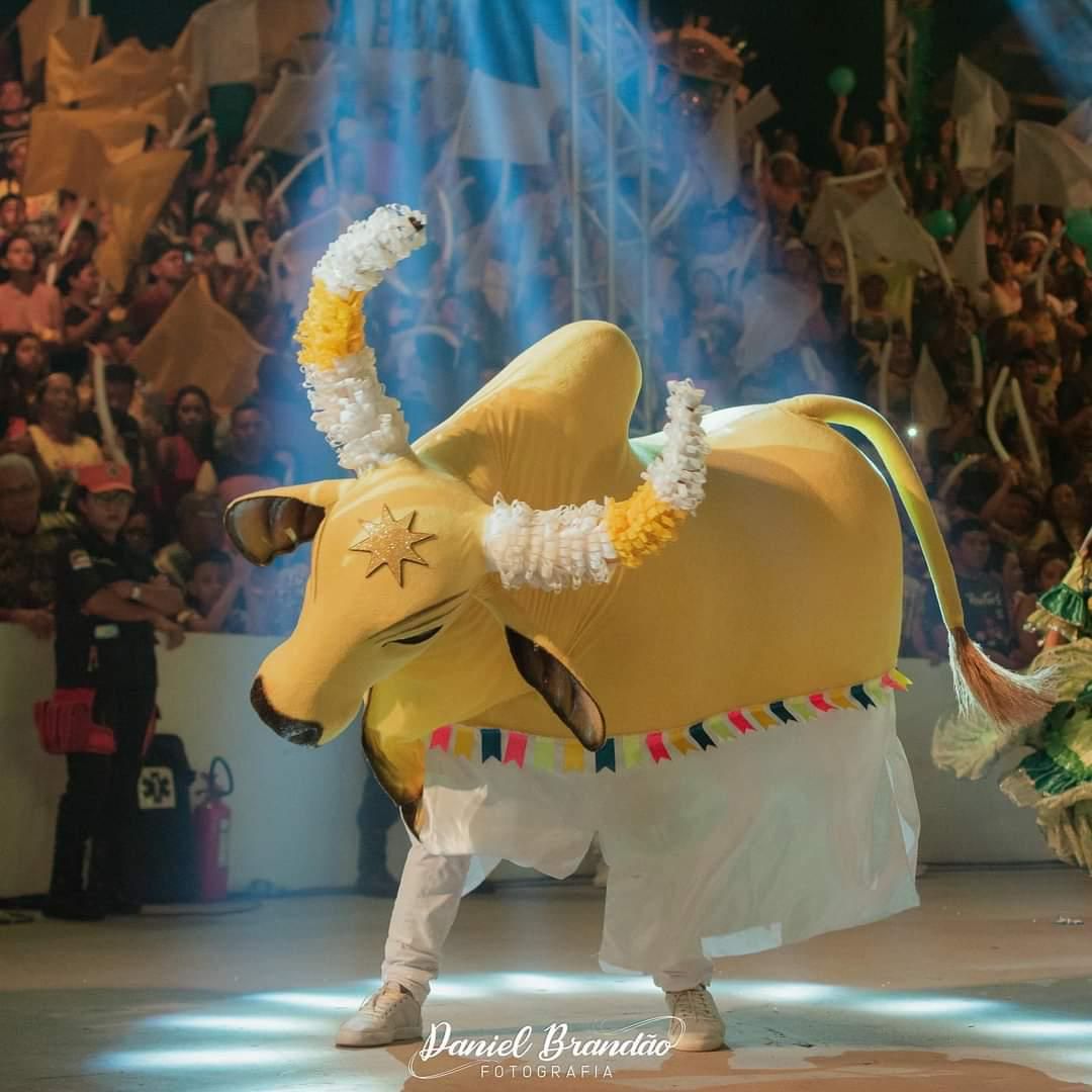 Boi bumba Espalha Emoção
