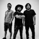 PPBETOX BAND