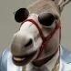 Burrolino