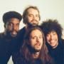 Boogarins