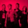 Fireflight