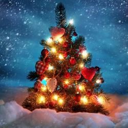 Foto de Natal