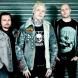 Icon Of Coil