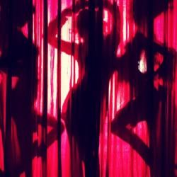 Foto de Rainbow Pixie