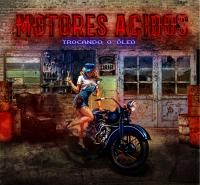 Motociclistas Não Tem Chato Na Barba