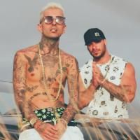 Reunião (part. MC Fox$$ e McMãe)