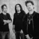 Newsted