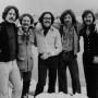 King Harvest