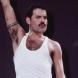 Freddie Mercury