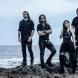 Sirenia