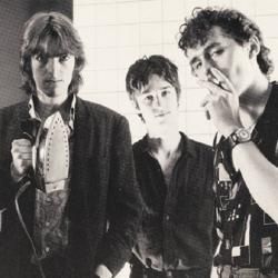 Photo of The Soft Boys