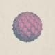 Broken Bells