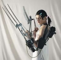 Arca
