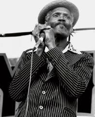 Big Walter Horton