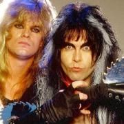 W.A.S.P.