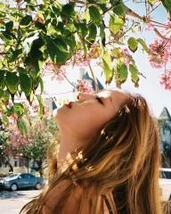 Daydream