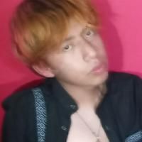 DanMua