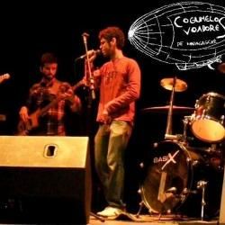 Foto de Cogumelos Voadores de Madagascar