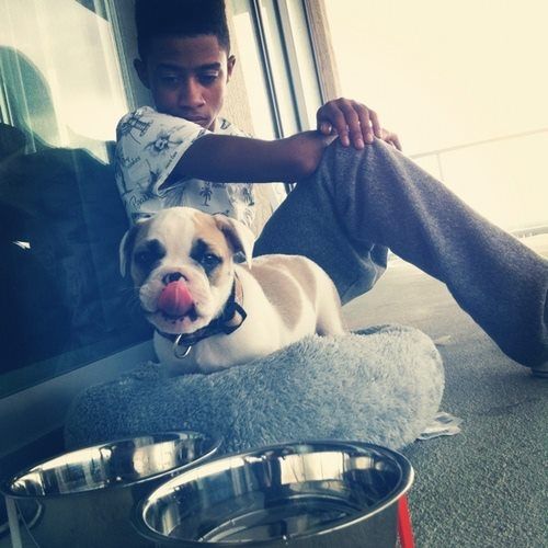 Lil Twist