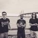The Marfins