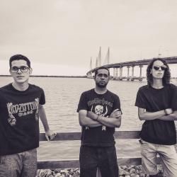 Photo of The Marfins