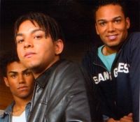 3T