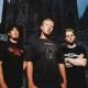 Pig Destroyer