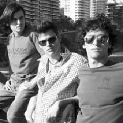 Foto de Besouros Verdez