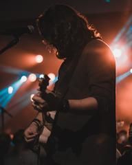 Luzlive