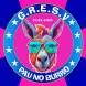 G.R.E.S.V. Pau No Burro