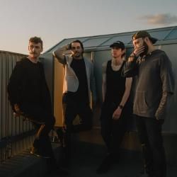 Foto de Bird Problems