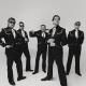 The Hives