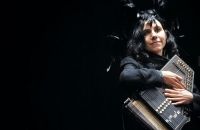 PJ Harvey