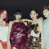 Kitty Cat (JULIE Solo)