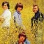 The Seeds