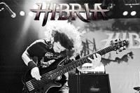 Hibria