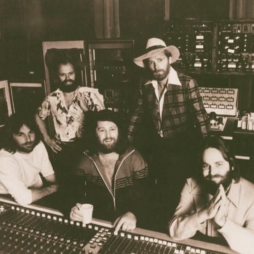 Little Bird - The Beach Boys - LETRAS.MUS.BR