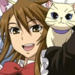Foto de Nyan Koi!