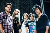 Banda Logout